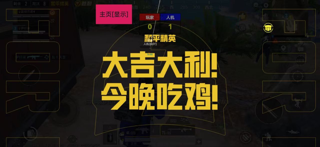 和平精英【虎爪】辅助